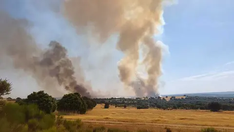 incendio Sayago zona m&aacute;moles