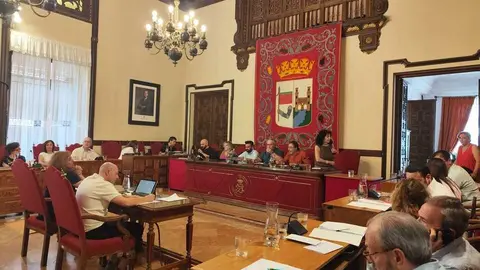 Pleno Ayuntameinto de Zamora _7