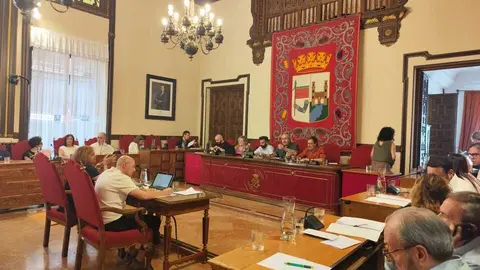 Pleno Ayuntameinto de Zamora _8