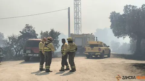 incendio M&aacute;moles en Fermoselle _5