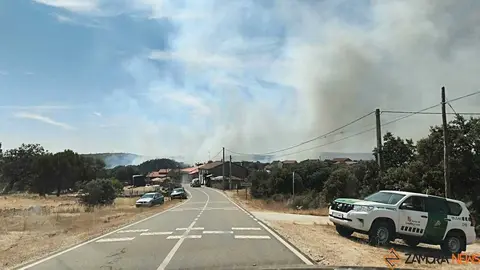 incendio M&aacute;moles en Fermoselle 