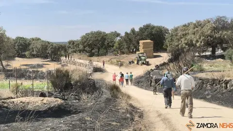 incendio M&aacute;moles en Fermoselle _4