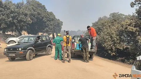 incendio M&aacute;moles en Fermoselle _16