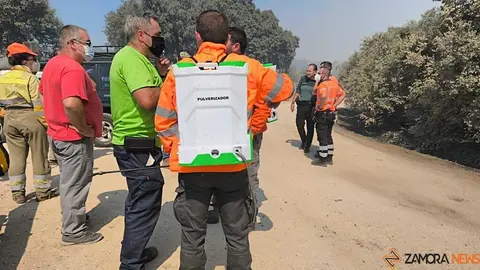incendio M&aacute;moles en Fermoselle 