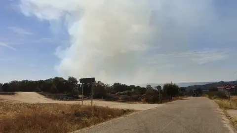 incendio M&aacute;moles en Fermoselle _4