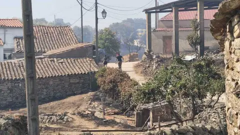 incendio M&aacute;moles en Fermoselle _11