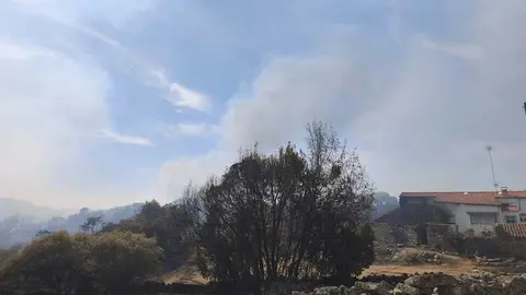 incendio M&aacute;moles en Fermoselle _12