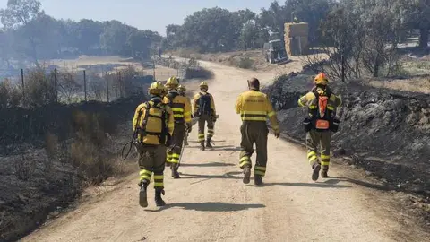 incendio M&aacute;moles en Fermoselle _14