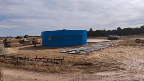 Planta de Biog&aacute;s en Peleagonzalo