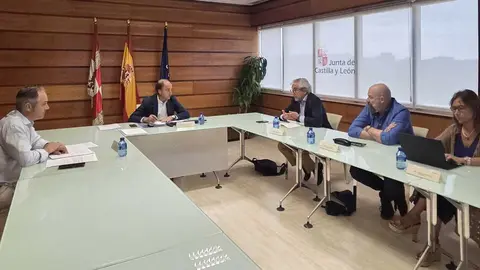 Reuni&oacute;n con laboratorios para suministro de vacunas Newcastle