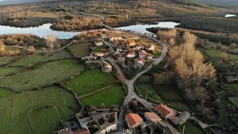 Cional