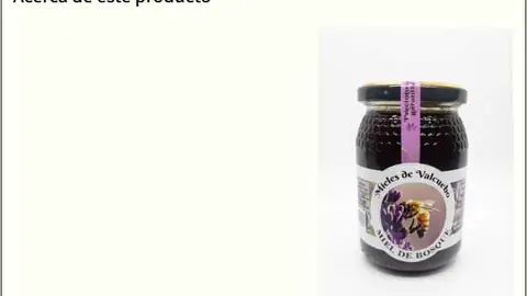 GREAT TASTE PAGINA