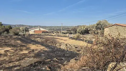 Sayago Renace (5)
