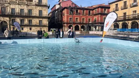 Actividad de pesca en cautividad en plena Plaza Mayor de Le&oacute;n capital, que se repetir&aacute; en la Semana de la Trucha. Foto ileon