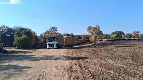 Camiones de paja. Foto SalamancaALdia