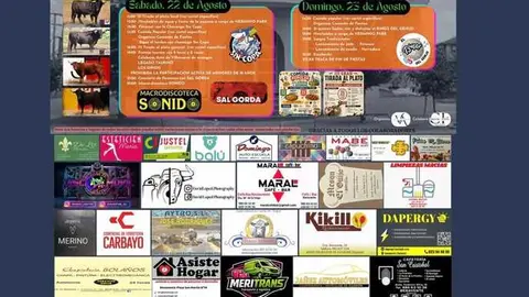 cartel fiestas de Villanueva de Azoague