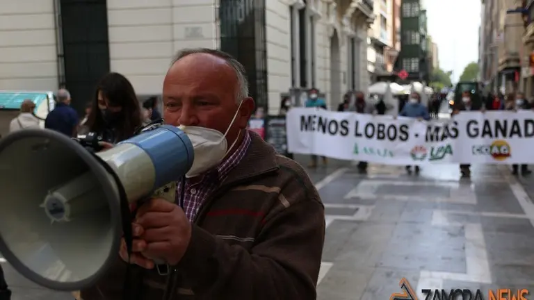 lobo manifestación zamora (4)
