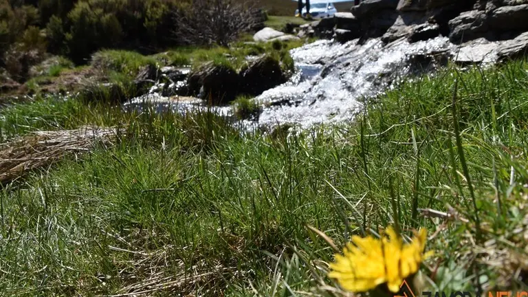 sanabria primavera (1)
