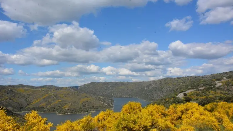 portugal sayago primavera (41)