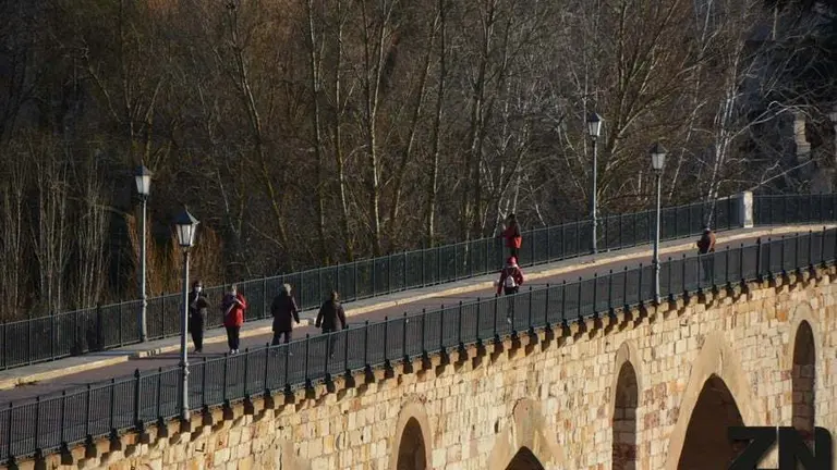 Zamoranos paseando por el puente de Piedra