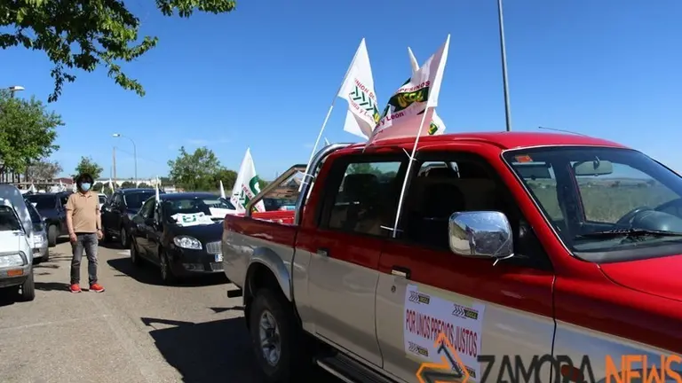 Manifestaci&oacute;n La Uni&oacute;n de Zamora - UCCL Zamora