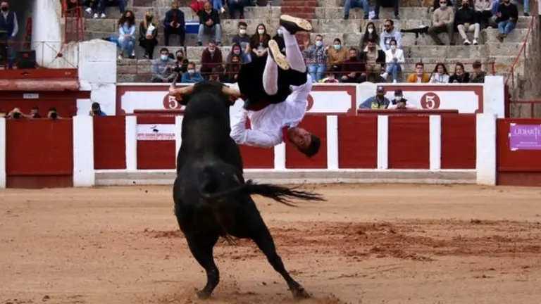 cortes goyescos (15)