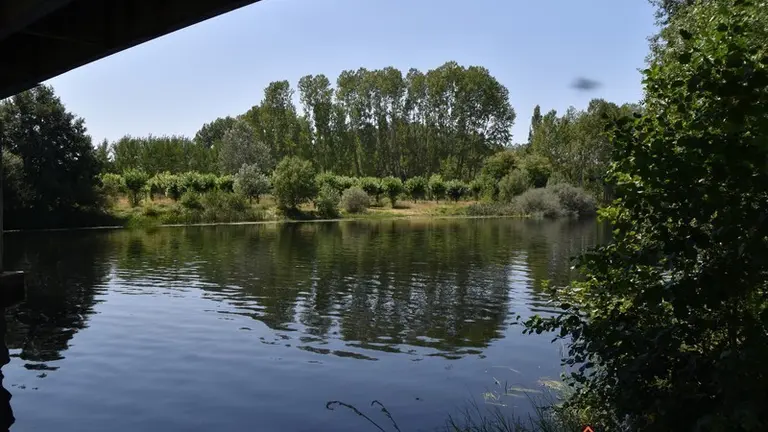 pumarejo y camarzana  (19)