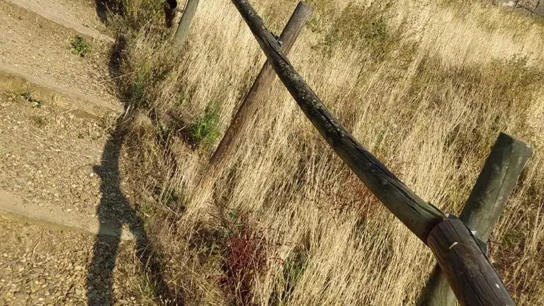 Hierba en San Jos&eacute; Obrero