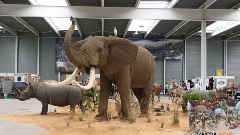 WhatsApp Image 2021-09-03 at 14.08.25 (3)