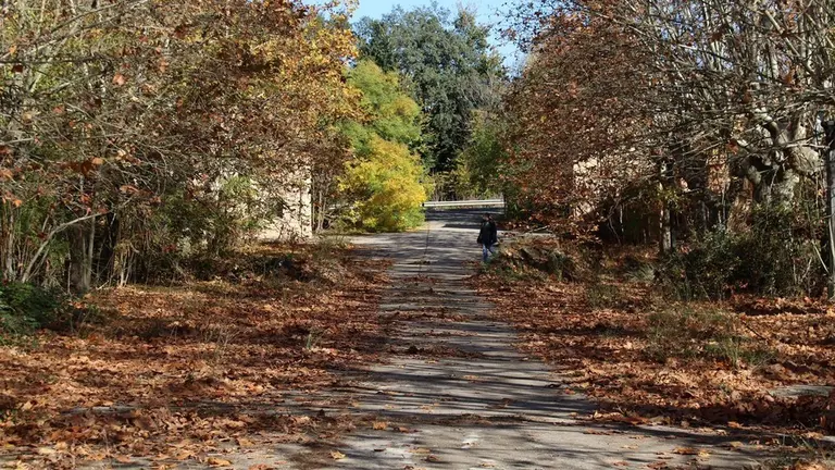 margarita robles en monte la reina (11)