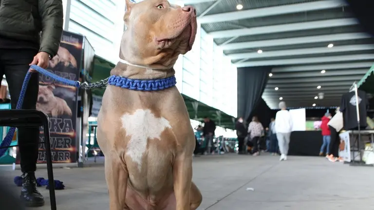 euronationals2022 (1)