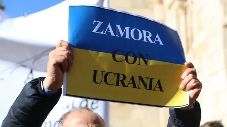 Manifestaci&oacute;n por Ucrania (27)