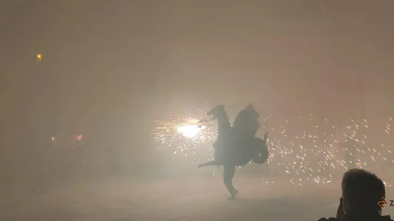 Hermanamiento Capitonis Durii y Puerta Nueva (4)