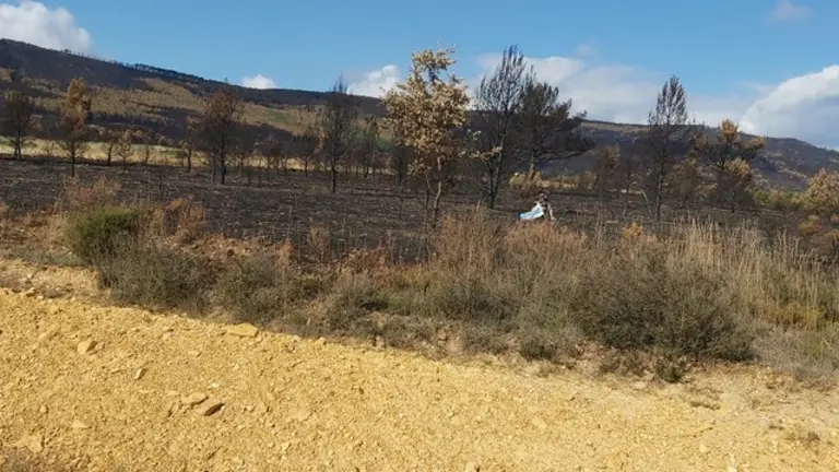 Imagen de la Sierra de la Culebra calcinada