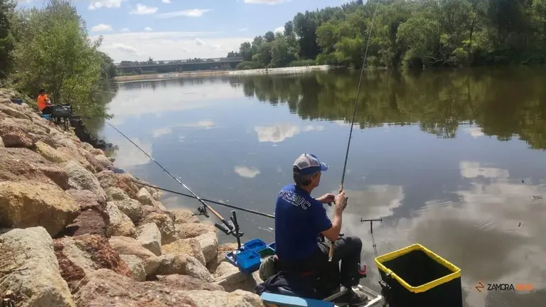  El Duero en la zona de Entrepuentes acoge el I Open Feeder_6
