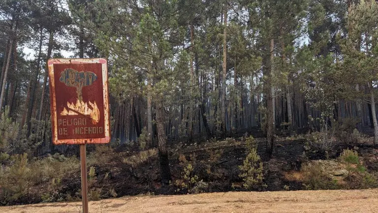 Imagen de archivo de la Sierra de la Culebra tras el incendio