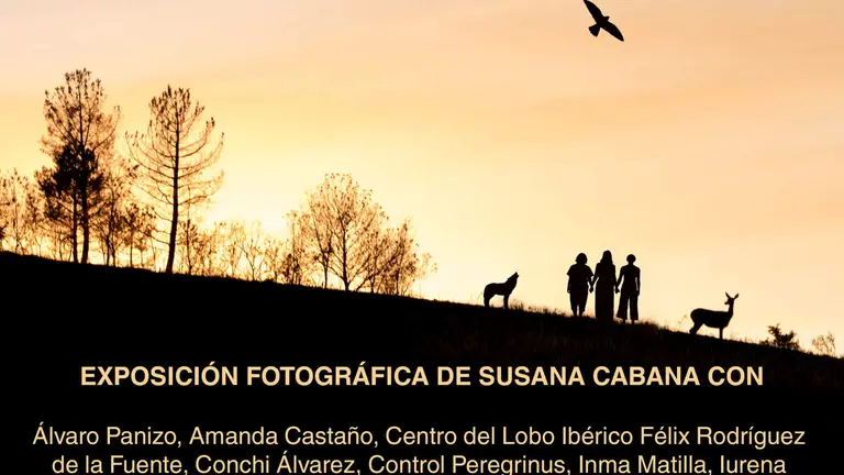 Cartel exposición de Tábara