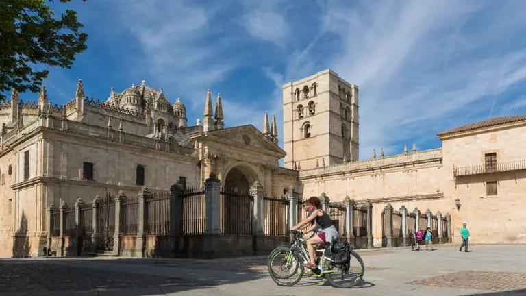 Paseantes y turistas en la Catedral de Zamora. Asno zamorano leonés. Fotografía: @ZamoraSpain