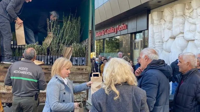 Día del Árbol