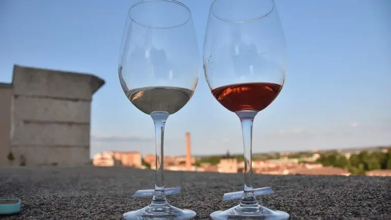 vinos denominación de origen_41