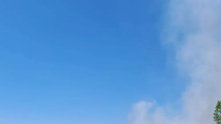 Incendio Pumarejo de Tera. imagen de archivo