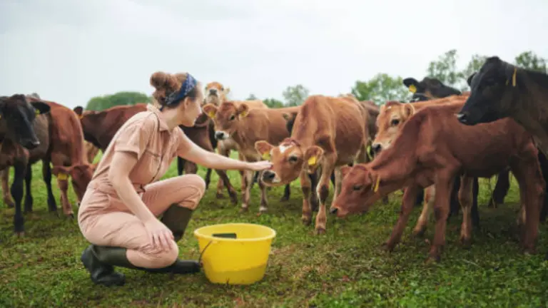 Mujer ganadera. Fotografía de archivo