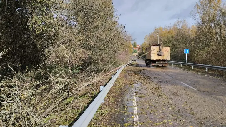 Árboles caídos en Santa Croya de Tera