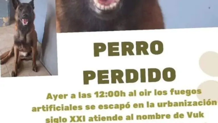 Piden colaboración ciudadana para encontrar a Vuk