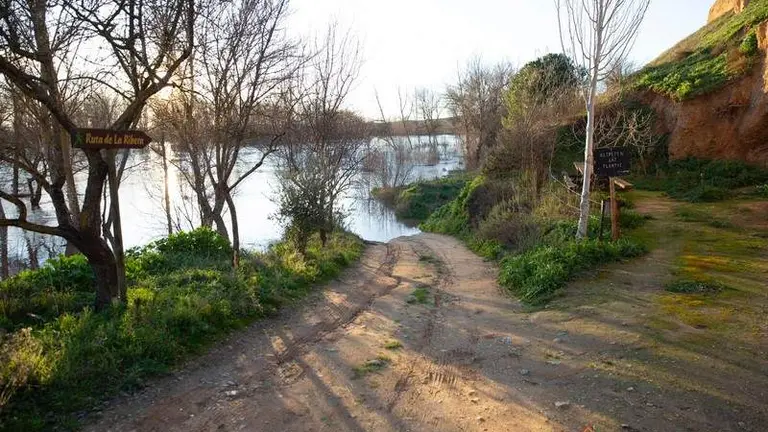  Subida del caudal del río Duero a su paso por Toro (2)