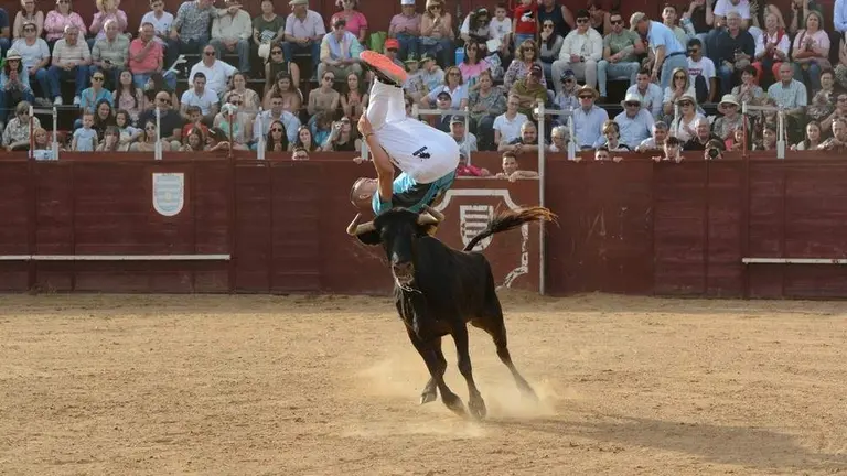 cortes zamora y villalpando 