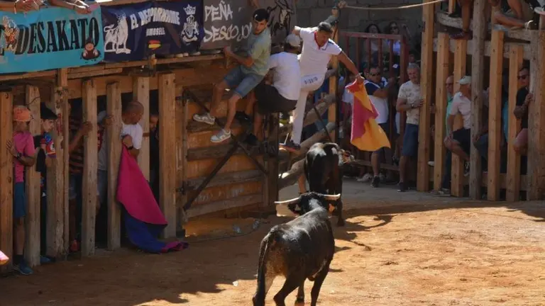 encierro sábado fermoselle _142