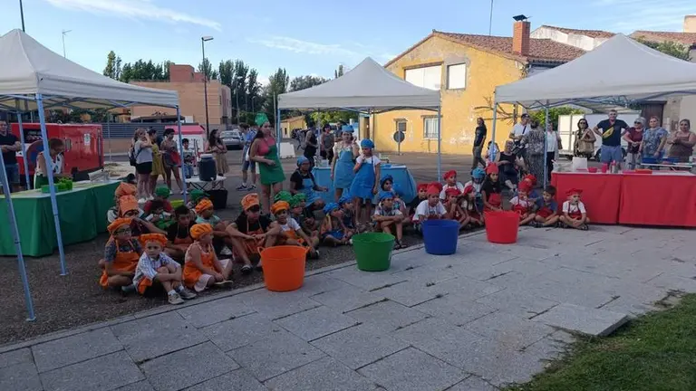 Mini Chef San Frontis