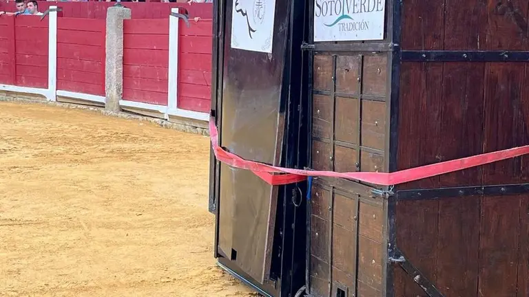 toro del cajón toro 2024_8