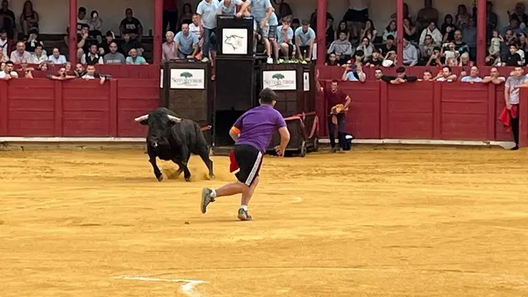 toro del cajón toro 2024_2